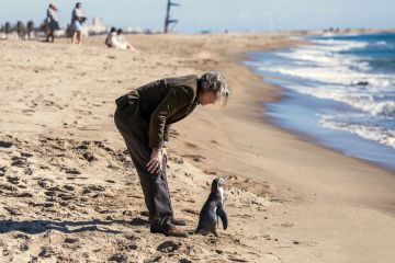 Tickets für Der Pinguin meines Lebens am 25.07.2026 - Karten kaufen